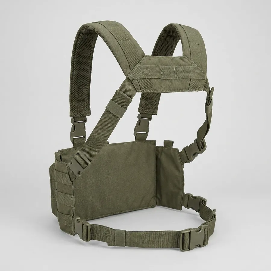Rear three-quarter — padded adjustable shoulder harness and webbing routing.